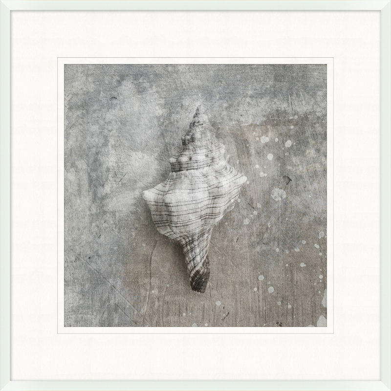Distressed Sea Shell 5 Print