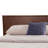 Capricorn Platform Bed-463693761
