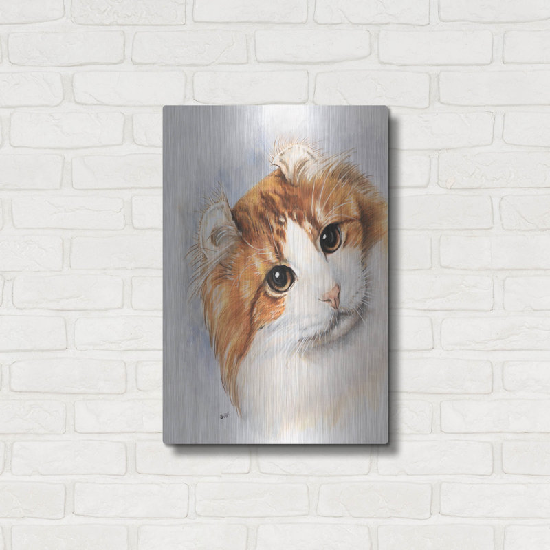 «American Curl 2» par Barbara Keith, H 24 po x l 16 po