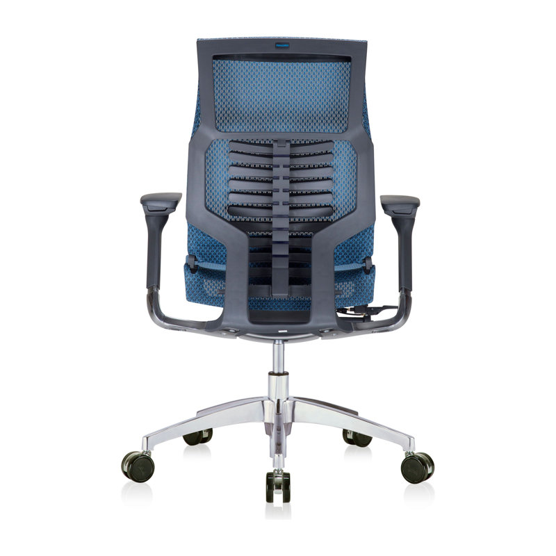 Fauteuil de direction ergonomique en filet, Blanc, Bleu