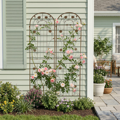 Ensemble de 2 treillis métalliques d'extérieur, treillis hauts autoportants pour plantes grimpantes, treillis de jardin pour tomates, roses et vignes