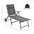 Tornillo Outdoor Metal Chaise Lounge Set-1817387867