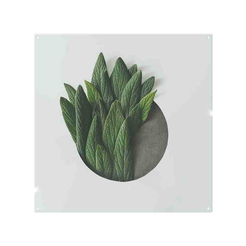 Minimal Leaves Splash Back, 65cm L x 60cm W