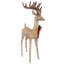 Cerf champagne