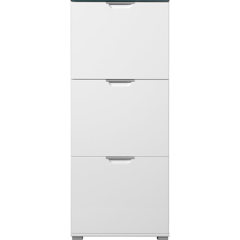 Shoe Storage Cabinet