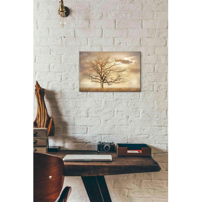 'Golden Tree' by Lori Deiter, Canvas Wall Art