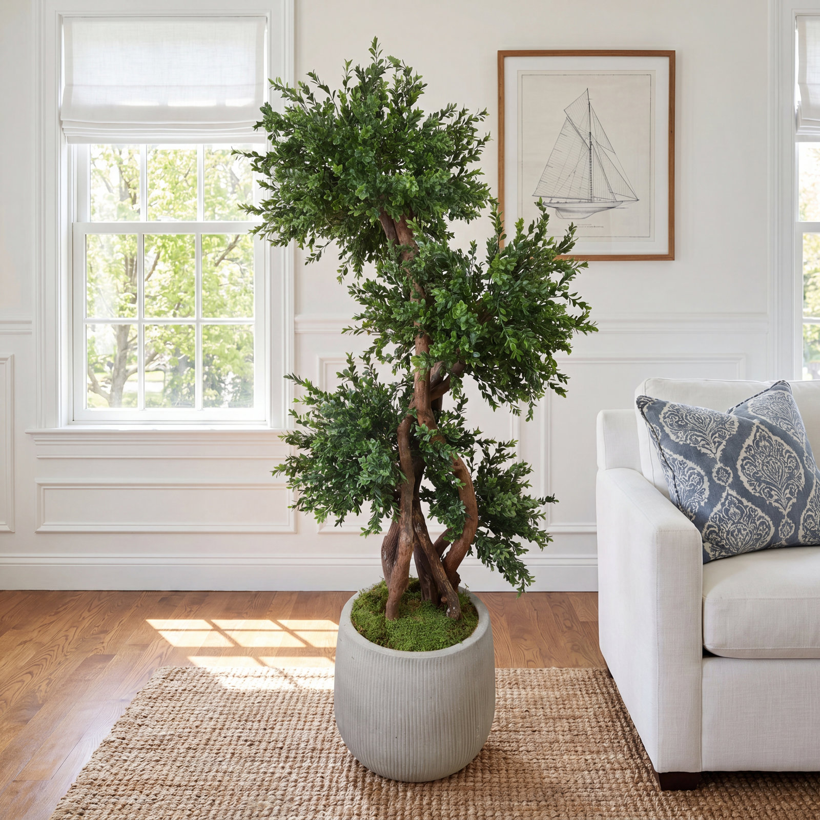 Sani 63" Boxwood Tree in Pot