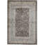 Nirvana Oriental Area Rug in Brown/Beige
