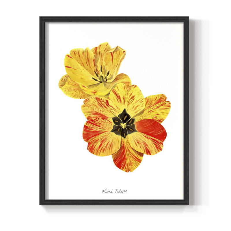 Olive's Tulips I, reproduction encadrée - bois massif, Noir, H 28 po x l 22 po