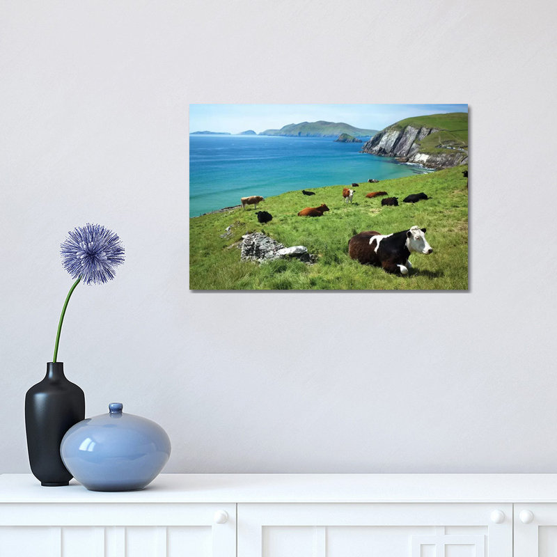 Cows Resting Above Coumeenoole Bay, Dingle Peninsula, County Kerry, Ireland 1 Piece Wrapped Canvas Wall Art