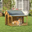 Niche pour chien 60,2 "en bois avec porche, fenêtre latérale et porte