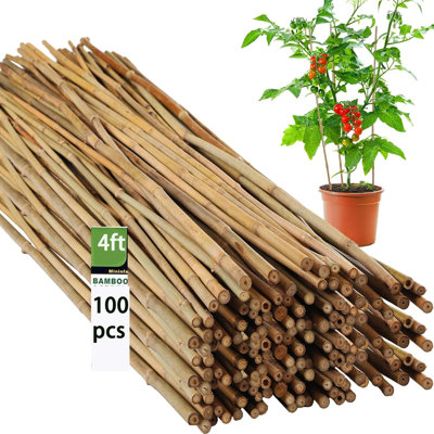 Weather Resistant Bamboo Plant Support