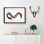 Electric-Eel by M.E. Bloch - Picture Frame Painting Print-55539532-55539533
