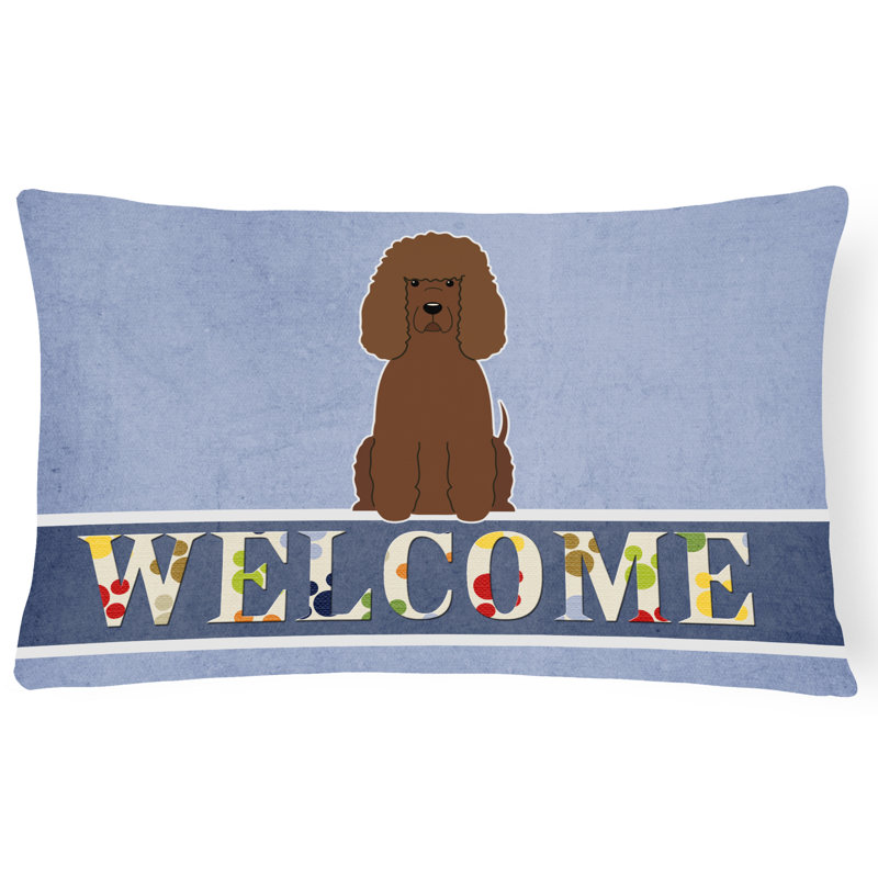 Coussin Irish Water Spaniel