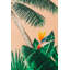 Floral Wallpaper by Melissa Cabrera-1778559743