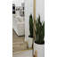 Miroir Crenshaw-325699549-339809157