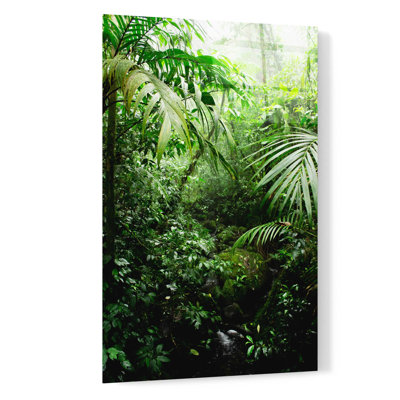 Art mural en verre Bayou Breeze «Misty Rainforest Creek» par Nicklas Gustafsson