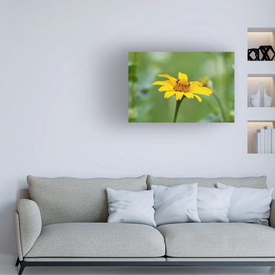 Art graphique sur toile, "Gordon River" par Gordon Semmens