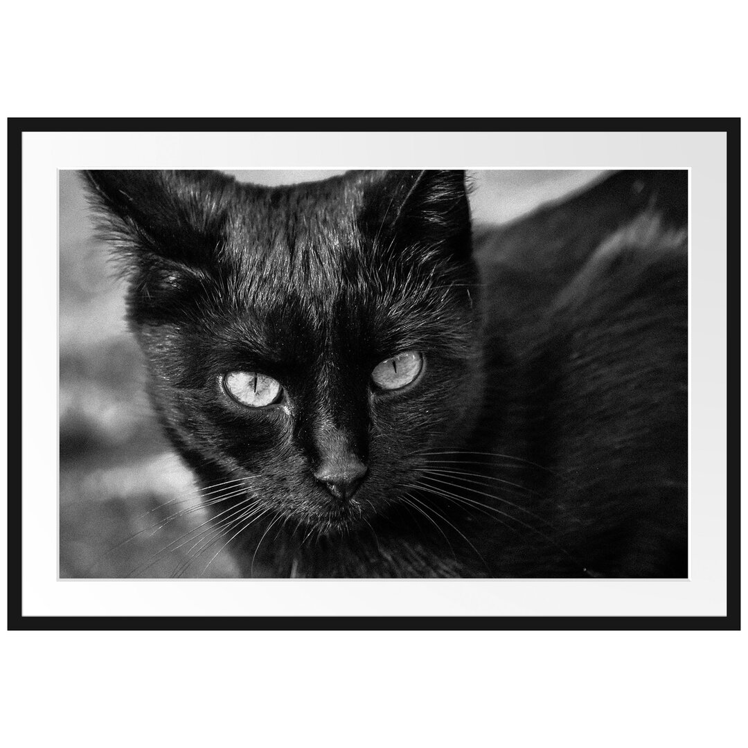 Gerahmtes Poster Schwarze Katze