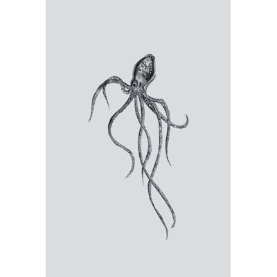 Marine Life IV 1 Piece Wrapped Canvas Wall Art