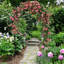 Breneisha 140cm W x 45cm D Metal Arbour in Black