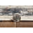 Cromp Geometric Indoor Rug-658202484