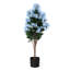 Lilas en pot - moyen-1640272737