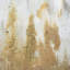 Ensemble d'art mural encadré doré et gris 20,8 x 20,8 x 1,2 po avec couvercle en verre, ensemble de 2