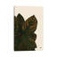 «Calas III (Bronze)» par Bria Nicole, impression sur toile tendue-55900906