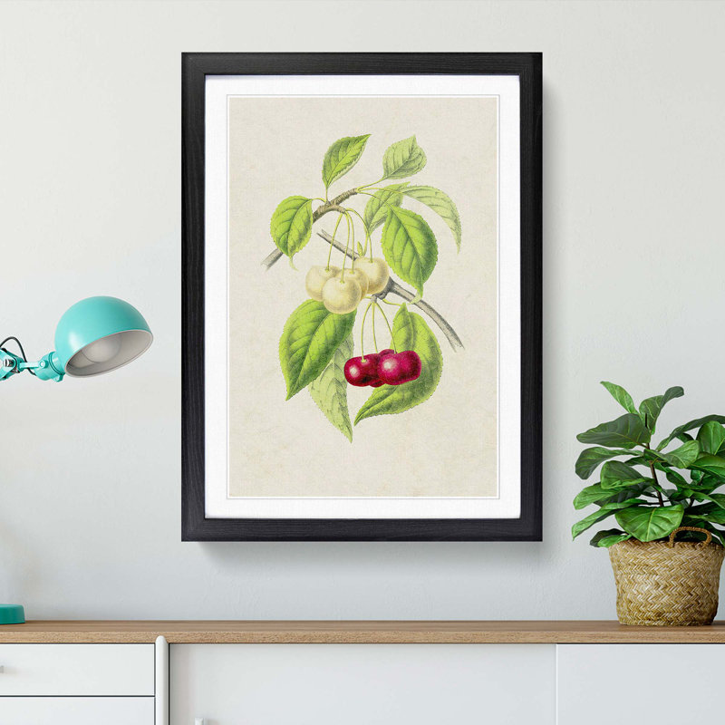 Illustration of Cherries - Framed Print, 48cm H x 36cm W x 2cm D, Black Framed