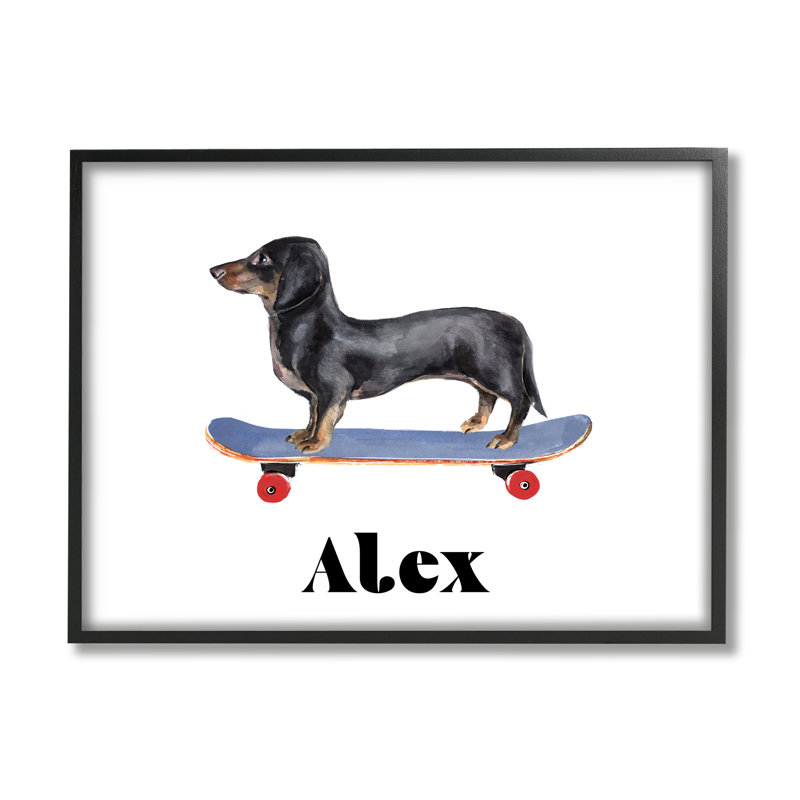 «Dachshund Dog Skateboarding cmw-032», art mural personnalisé, H 16 po x l 20 po, Giclée encadrée noir minuit, Oui