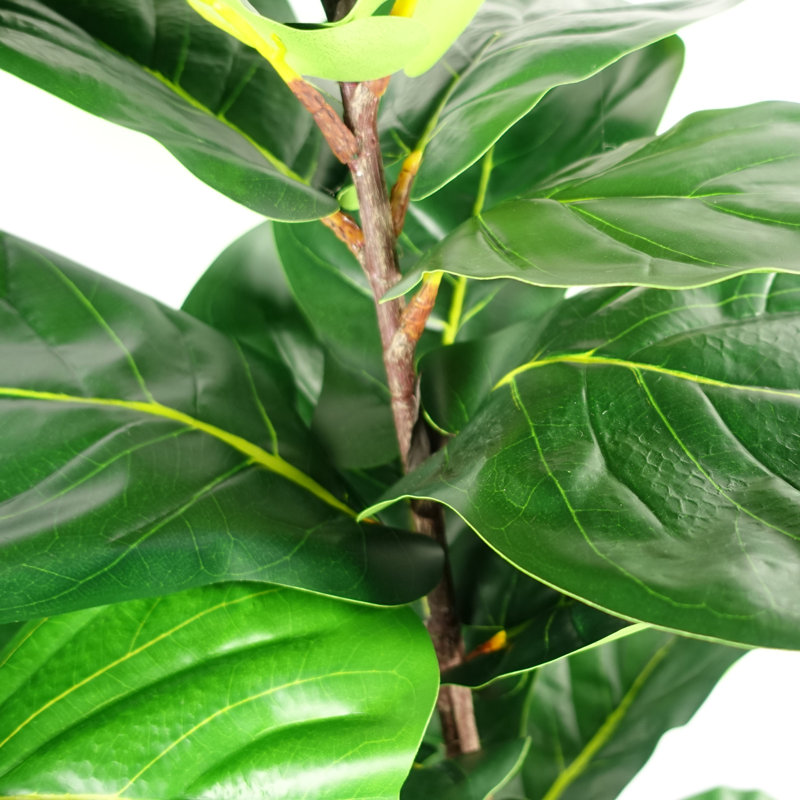 Anlin 150cm Faux Fig Tree in Pot