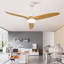Ventilateur de plafond intérieur chaud 52 pouces avec lumière DEL à intensité variable 3 pales en bois massif télécommande