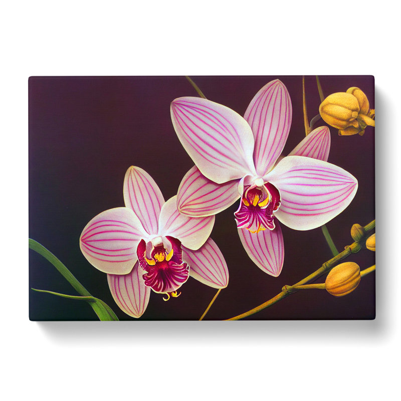 Iconic Orchid Flowers - Wrapped Canvas, 40cm H x 60cm W x 3cm D