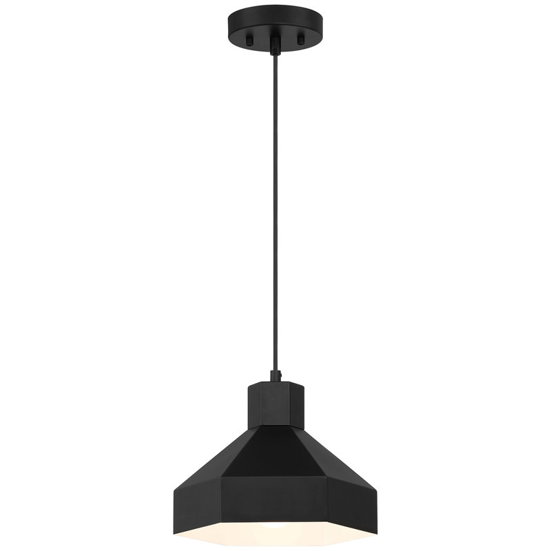 Luminaire suspendu 1 lumière Leonhardt, Noir