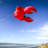 Crab Big Breeze Windsock