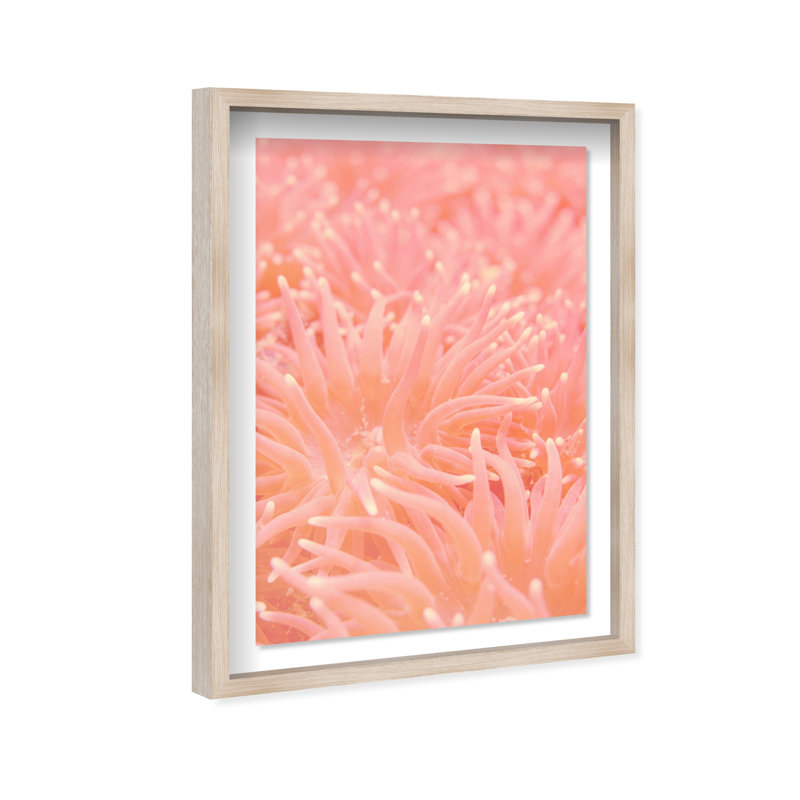 Deep Sea Flowers Shadowbox Nautical & Beach Print by Oliver Gal, Black Frame, 10 x 15, 16.5"H x 11.5"W, Natural Oak Shadowbox