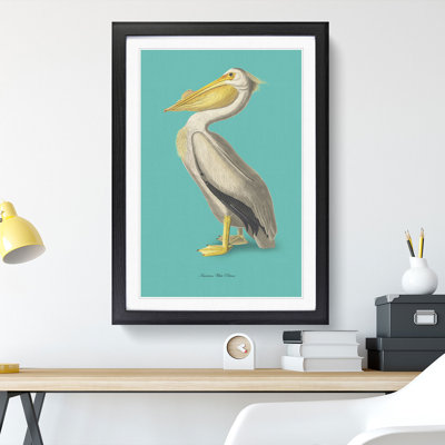 American Pelican in Teal by John Audubon - Picture Frame Painting