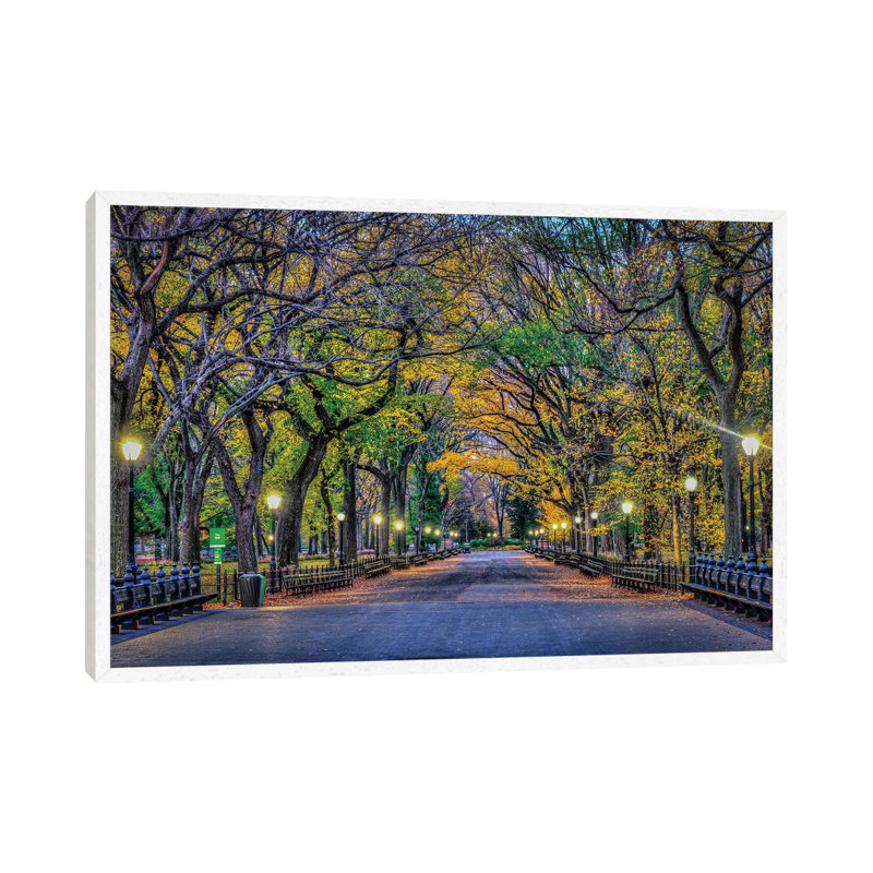 Central Park Night by David Gardiner - Print on Canvas, 66.04 cm H x 45.72 cm W, White Framed Canvas