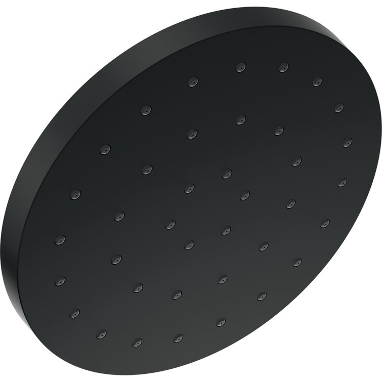 2.5 GPM Single Setting Massage Fixed Shower Head with H2Okinetic Technology