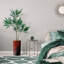 66 plantes-97701527