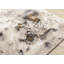 Tapis d'intérieur botanique, patiné, brun, taupe, contemporain et moderne - 5 pi x 8 pi (5 pi 3 po x 7 pi 7 po)-1398048733