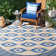 Devito Southwestern Indoor/Outdoor Area Rug