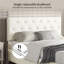 Upholstered Bed Frame with Drawer Storage-347408877-370691892