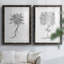«B&W Plant Spechantillon III», reproduction de photo sur toile 2 pièces-1804112968-1804112974