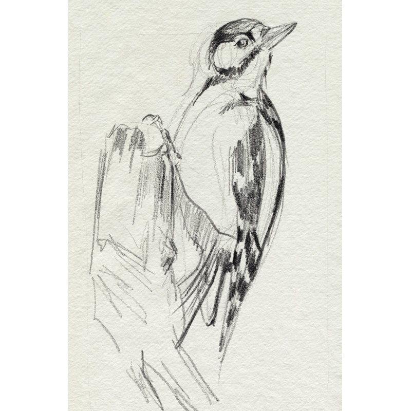 Croquis du pic-bois II, H 36 po x l 24 po