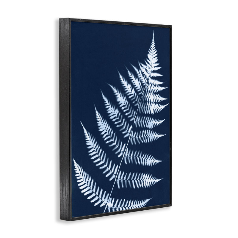 «Blue Fern Impression» par Jason Johnson bg-068, H 18 po x l 12 po, Giclée encadrée noir minuit
