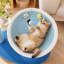 Grand bol à griffer pour chat 26,77 po, lit à griffer pour chat multifonctionnel et chaise longue avec jouet interactif
