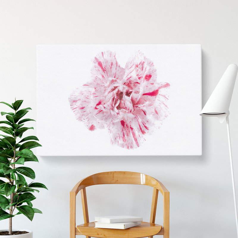 Striking White & Pink Carnation - Wrapped Canvas Painting, 40cm H x 60cm W x 3cm D