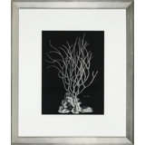 Black And White Coral I Print